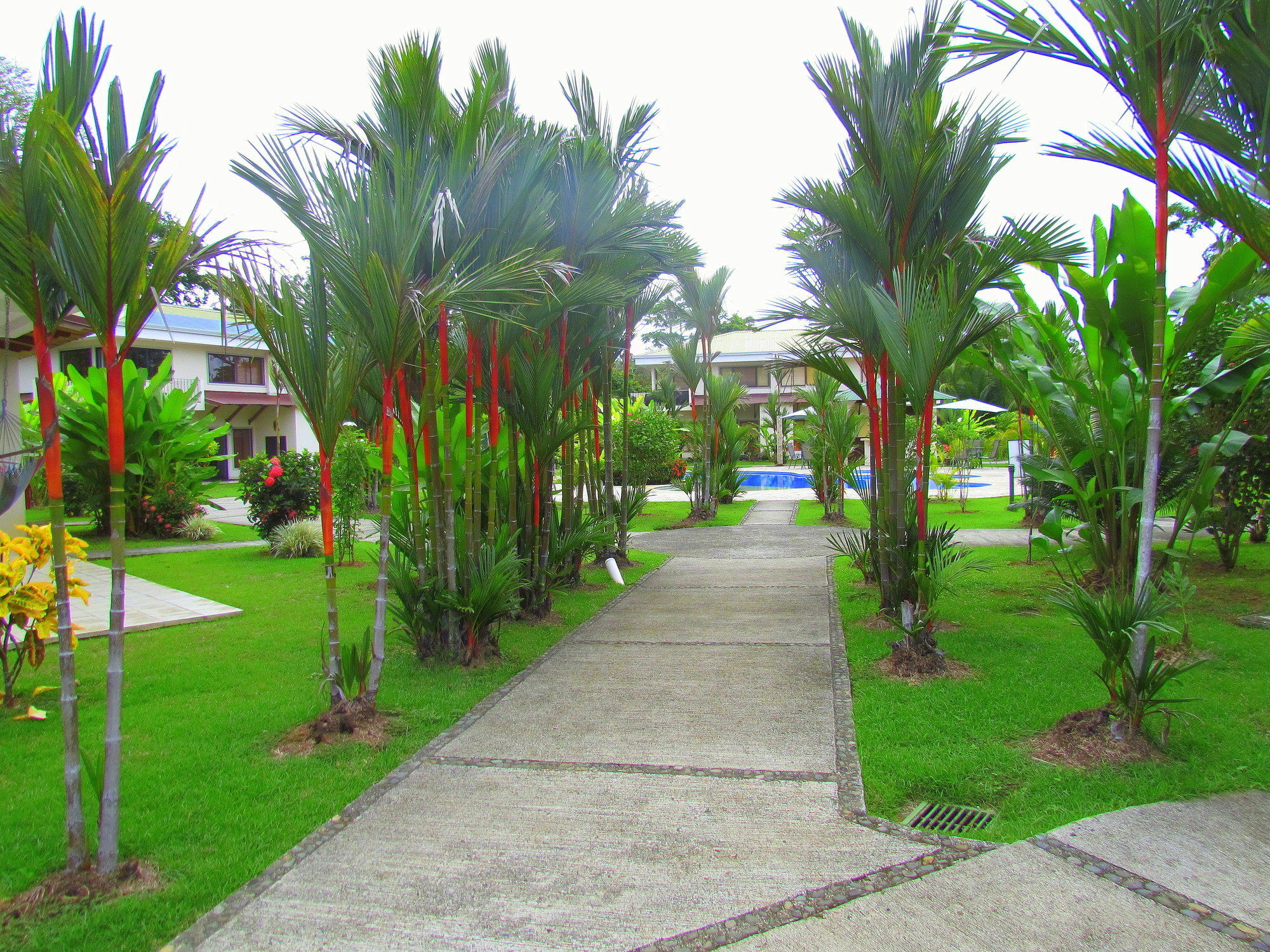 Villas Hacienda Pacifica Quepos Exterior photo